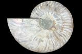 Agatized Ammonite Fossil (Half) - Madagascar #103100-1